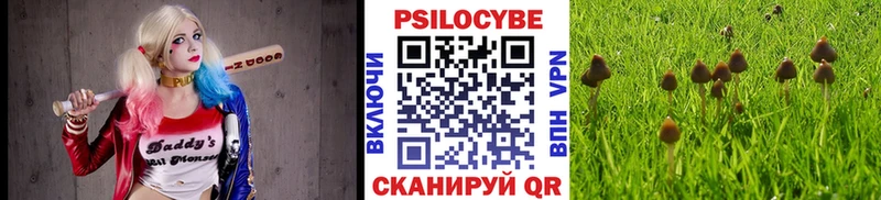 Галлюциногенные грибы ЛСД Певек